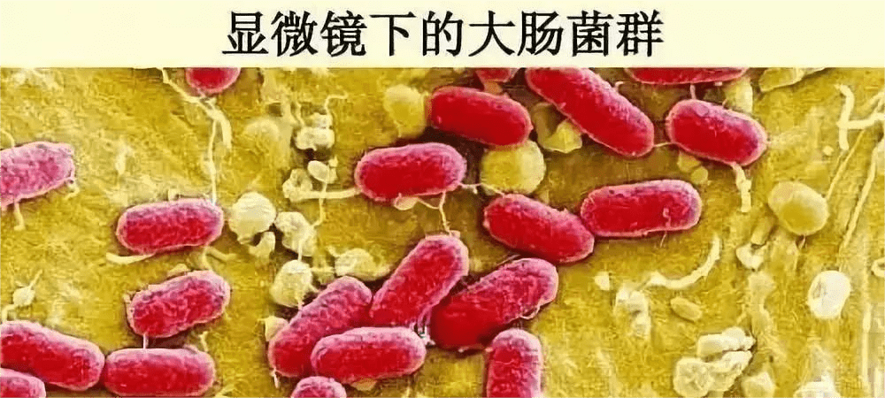 J9九游会 九游会J9梧州最新一期食品安全检测有13批不合格！涉及长洲、万秀、龙圩(图4)