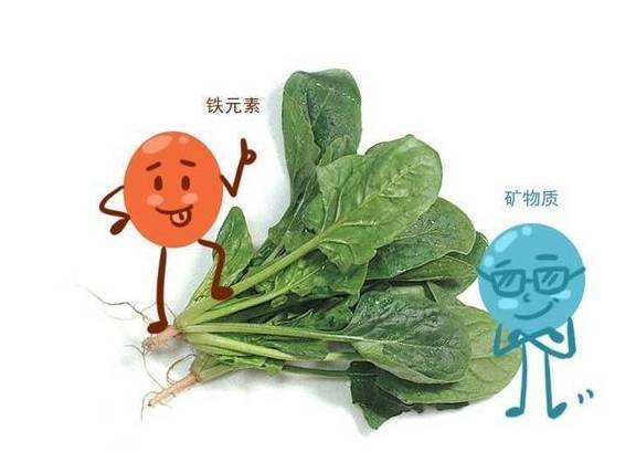 一旦过了45J9九游会 九游会J9岁女性多吃这5样远离2种食物！让你顺利熬过更年期(图4)