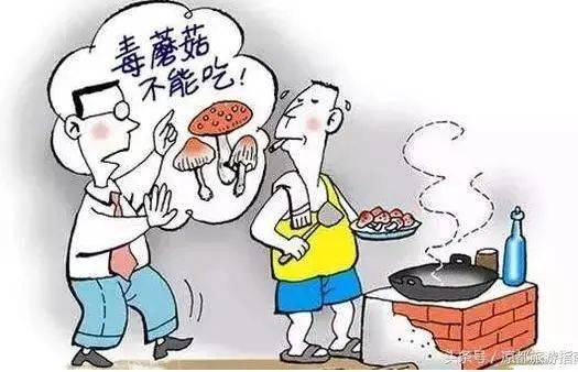 J9九游会 九游会J9【食品安全】谨防食用野生菌、毒性中药材、野菜野果等中毒这些常识要牢记(图1)