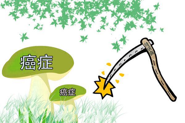 看似养生的4种食物可能正在悄悄偷走你的健康别再假养生J9九游会 九游会J9(图2)