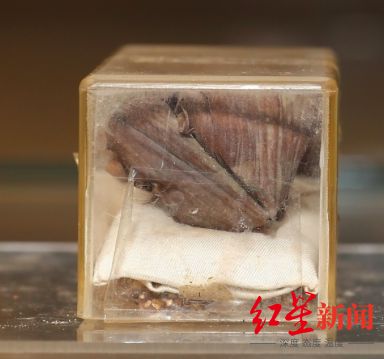 J9九游会 九游会J9千年前的月饼、饺子、鸡蛋……从“考古食物”看饮食中国(图3)