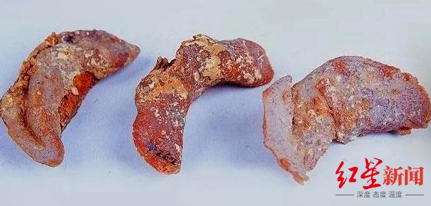 J9九游会 九游会J9千年前的月饼、饺子、鸡蛋……从“考古食物”看饮食中国(图5)