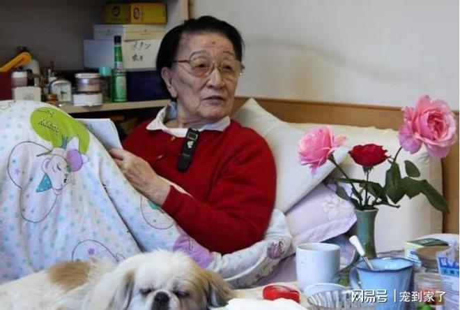 大清最后的格格金默玉：爱国主义者姐姐川岛芳子J9九游会 九游会J9却是头号女汉奸(图11)