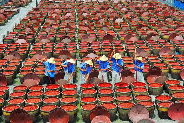 J9九游会 九游会J9郫县豆瓣怎么挑？记住有这4个特征的别买再不担心买到“假货”(图1)