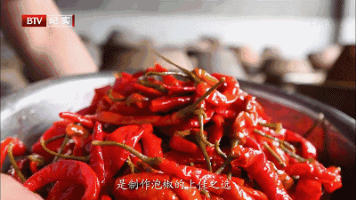纪录片：《川菜的品格》天府之J9九游会 九游会J9国的味道密码(图3)