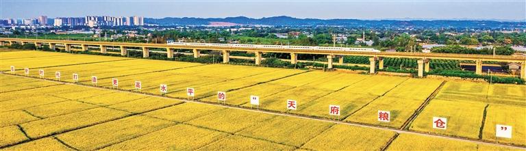 【大九游会J9 J9九游会美中国】打造更高水平天府粮仓(图3)