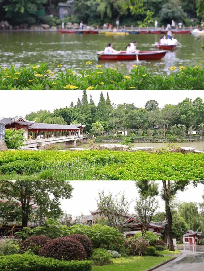 青羊地道成J9九游会 九游会J9都味！(图13)