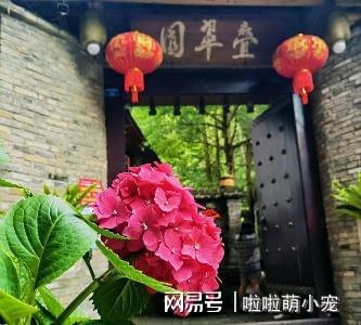四川大山里的川菜馆不提前预约吃不上有客人不是九游会J9 J9九游会为了吃饭而来(图2)