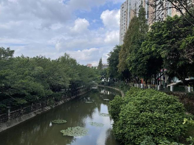 九游会J9 J9九游会小城小店一开20多年(图19)