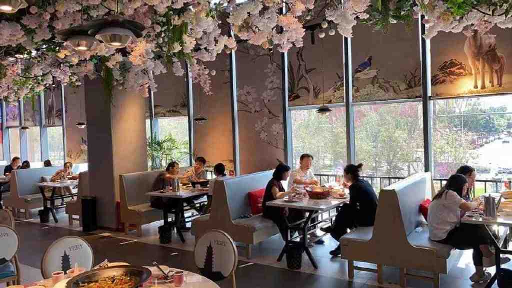 谁说双向九游会J9 J9九游会奔赴只存在偶像剧？天堂鸟水煮鱼活成了“人间理想”(图3)