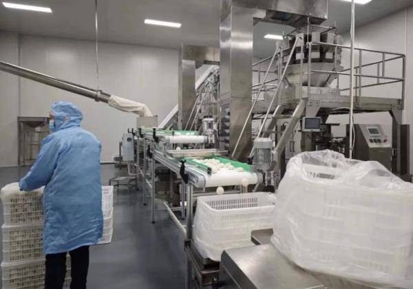 九游会J9 J9九游会餐饮业最新指导意见出炉哪些和咱从业者有关？(图2)
