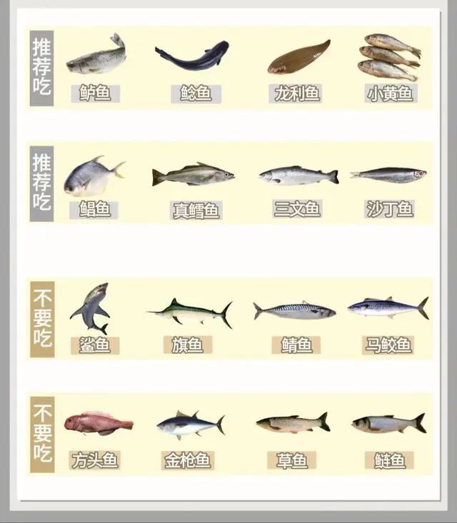 九游会J9 J9九游会孕妇不能吃哪些食物？孕期饮食红灯区！这些食物孕妇千万别碰(图3)