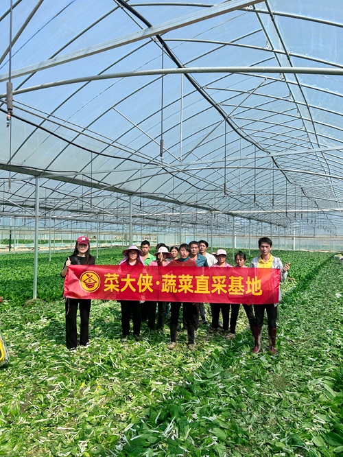 在食堂餐饮行业菜大侠买菜有哪些优势？J9九游会 九游会J9(图2)