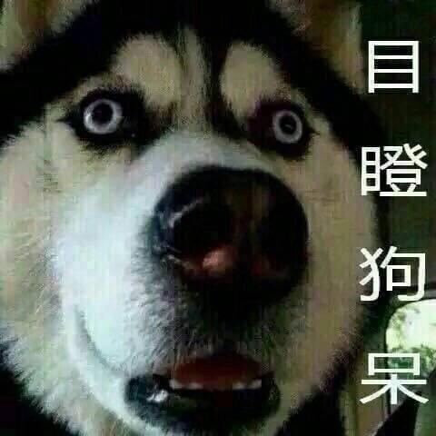 J9九游会 九游会J9不可思议！川式这些菜在国外居然泛滥成灾！(图4)